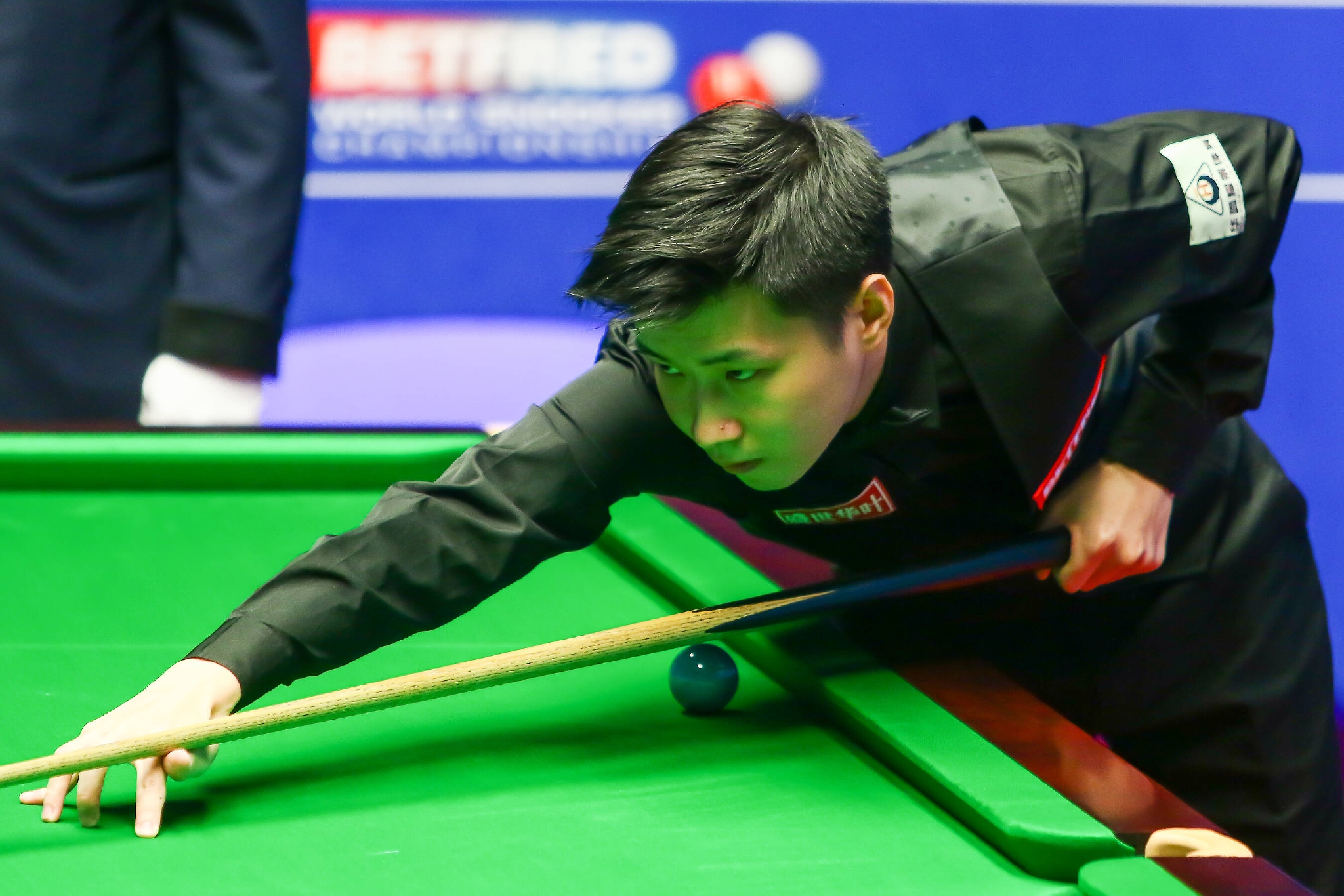 分享了多个 分享了多个