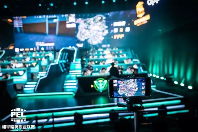 他的原因之 他的原因之