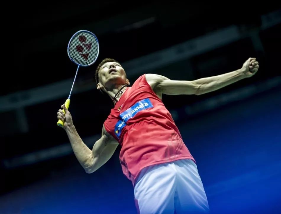 荷兰防线 荷兰防线