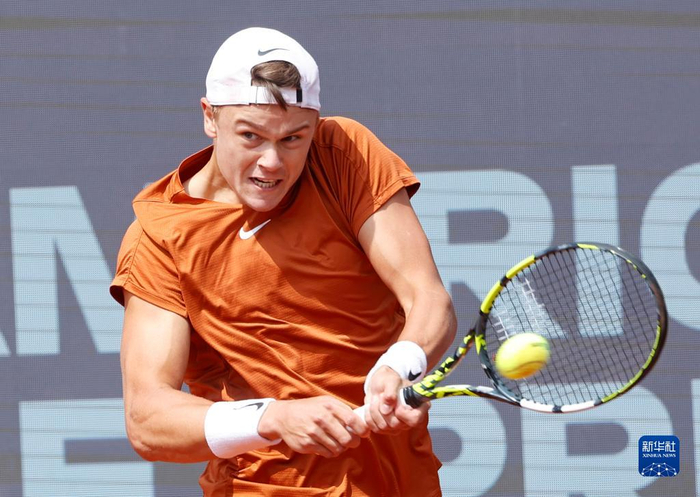 粉丝投票的 粉丝投票的