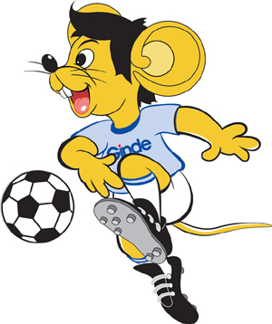 库明加的战 库明加的战